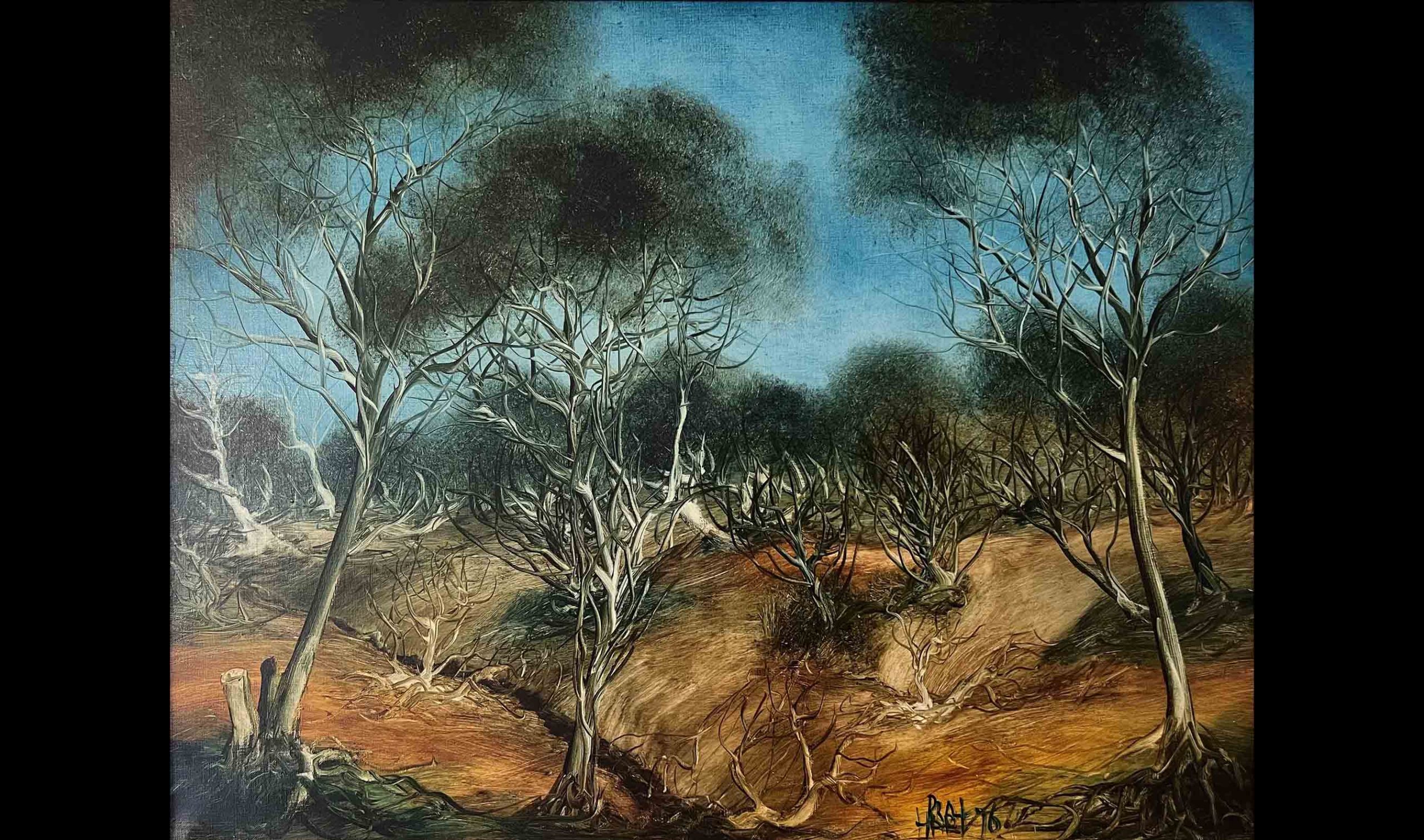 Mulga Creek - David Hart