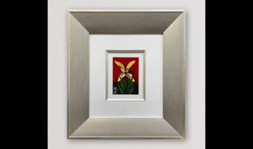 132587 31 26 Bush Orchid (Red) profile wb