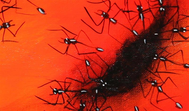 35 25 132211 Ants Inset