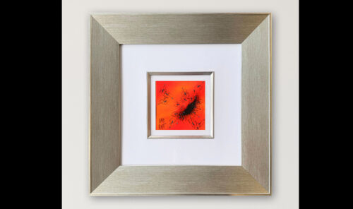 35 25 132211 Ants Profile wb