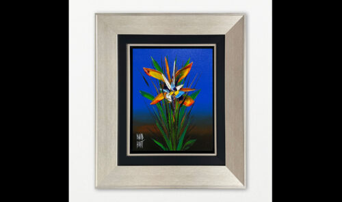 105 25 132399 Strelitzia profile wb