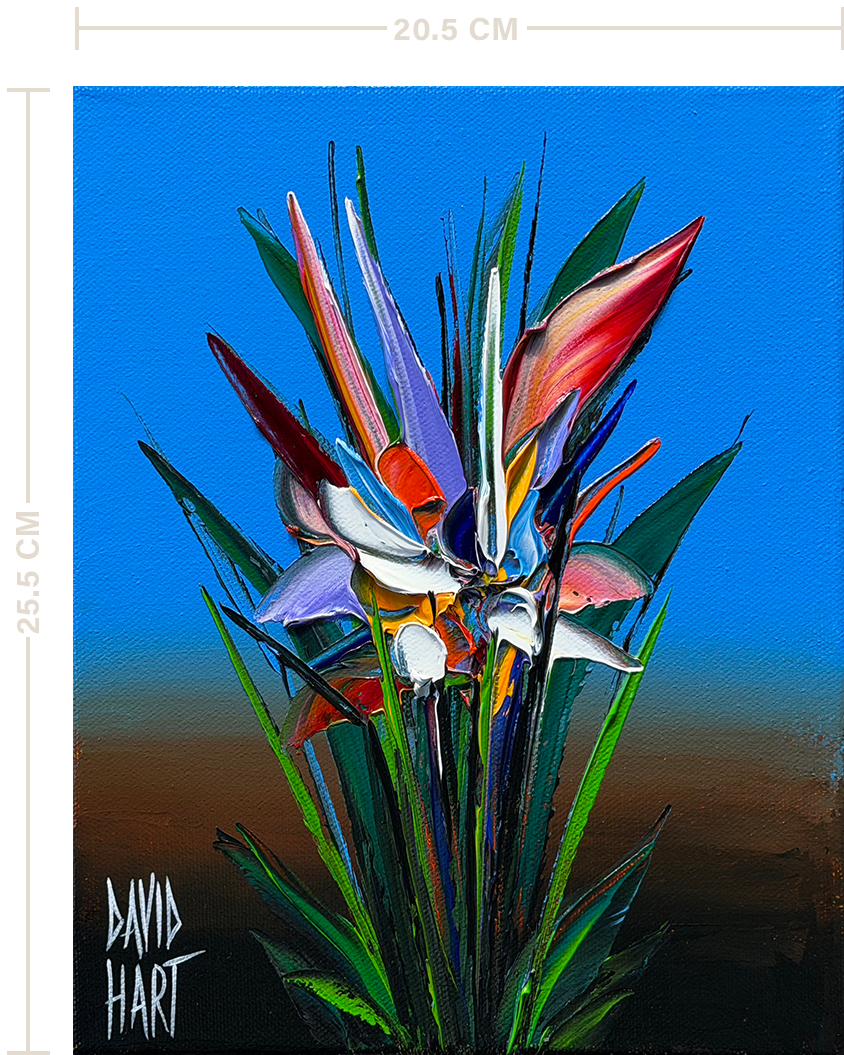 66 26 132768 Strelitzia (Blue) uf m