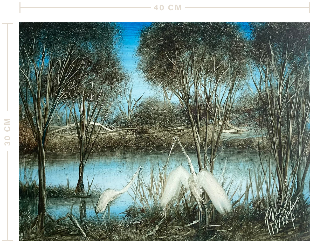 132307 – Water Birds_uf_m 132307 Water Birds uf m