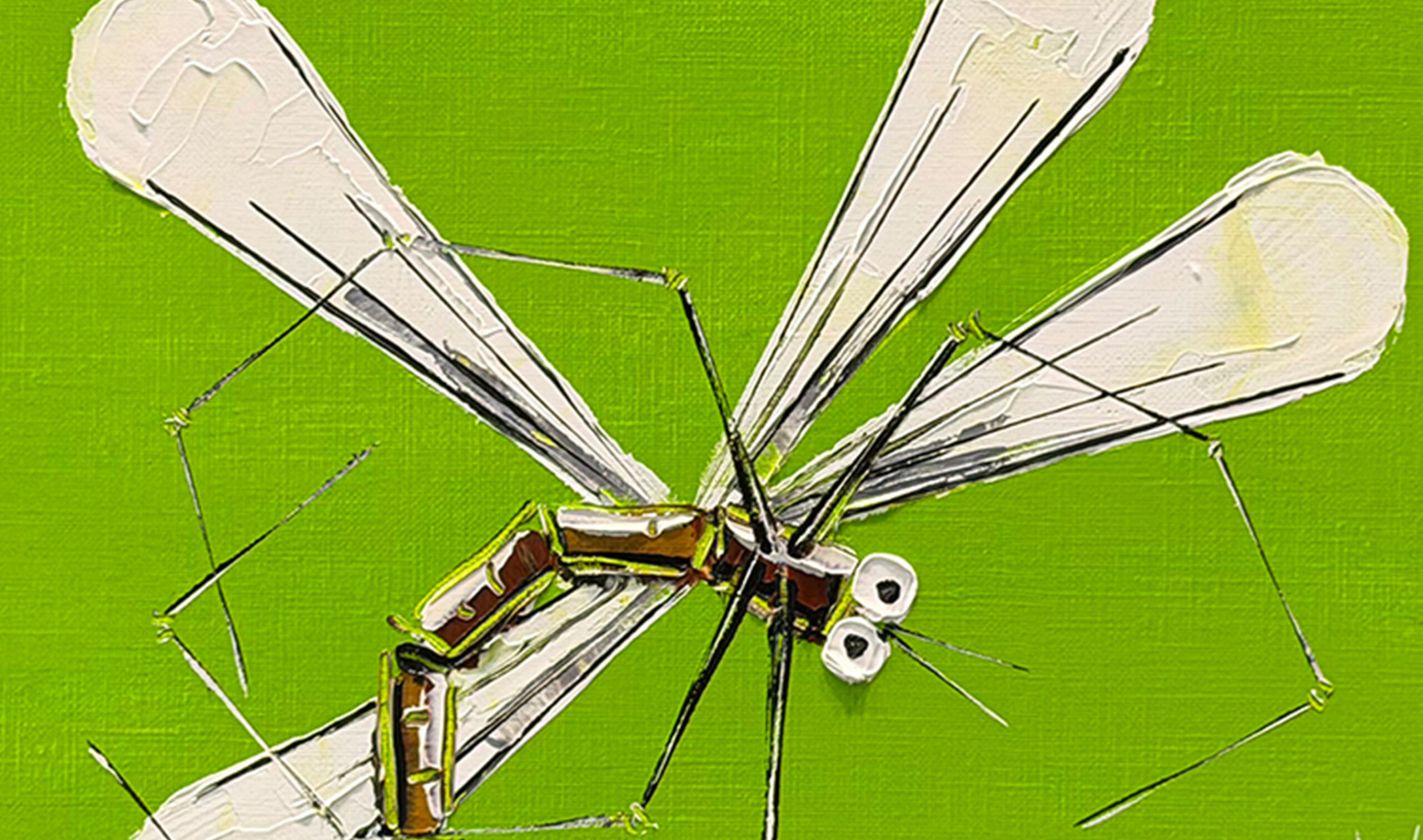 132563 18 26 Dragonfly (Lime) with 1oz 2026 Dragonfly Minted Coin inset