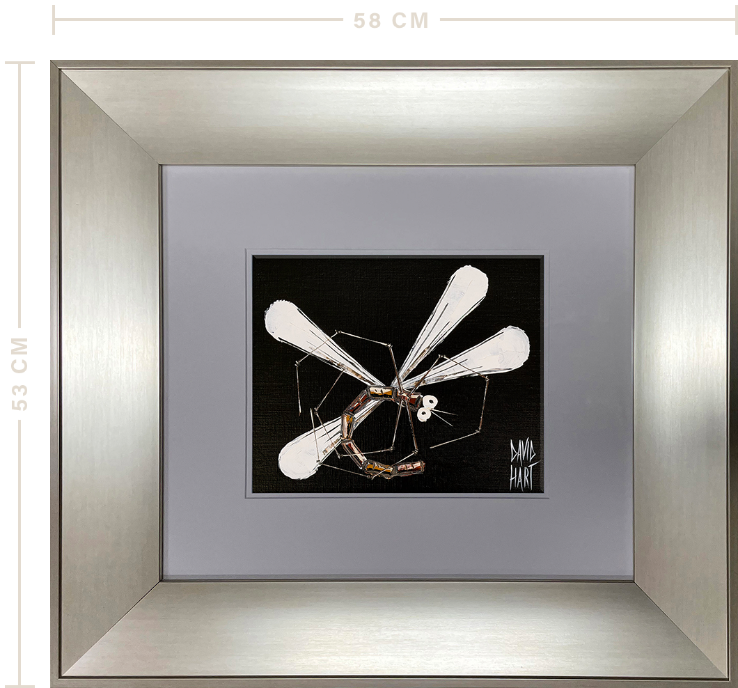 48 26 132647 Dragonfly (Black) f m