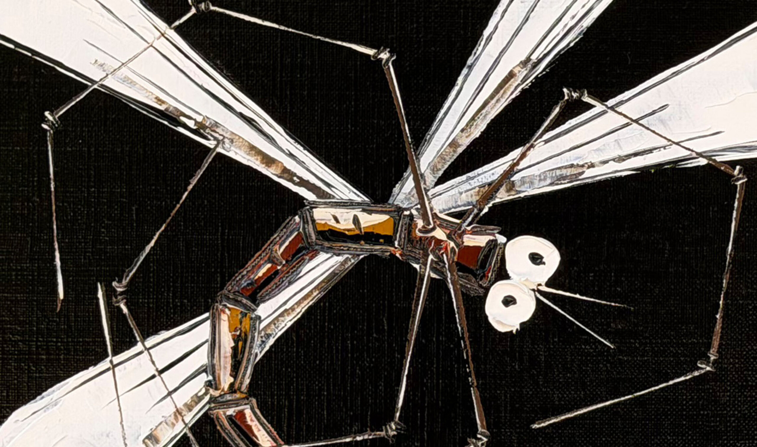 48 26 132647 Dragonfly (Black) inset