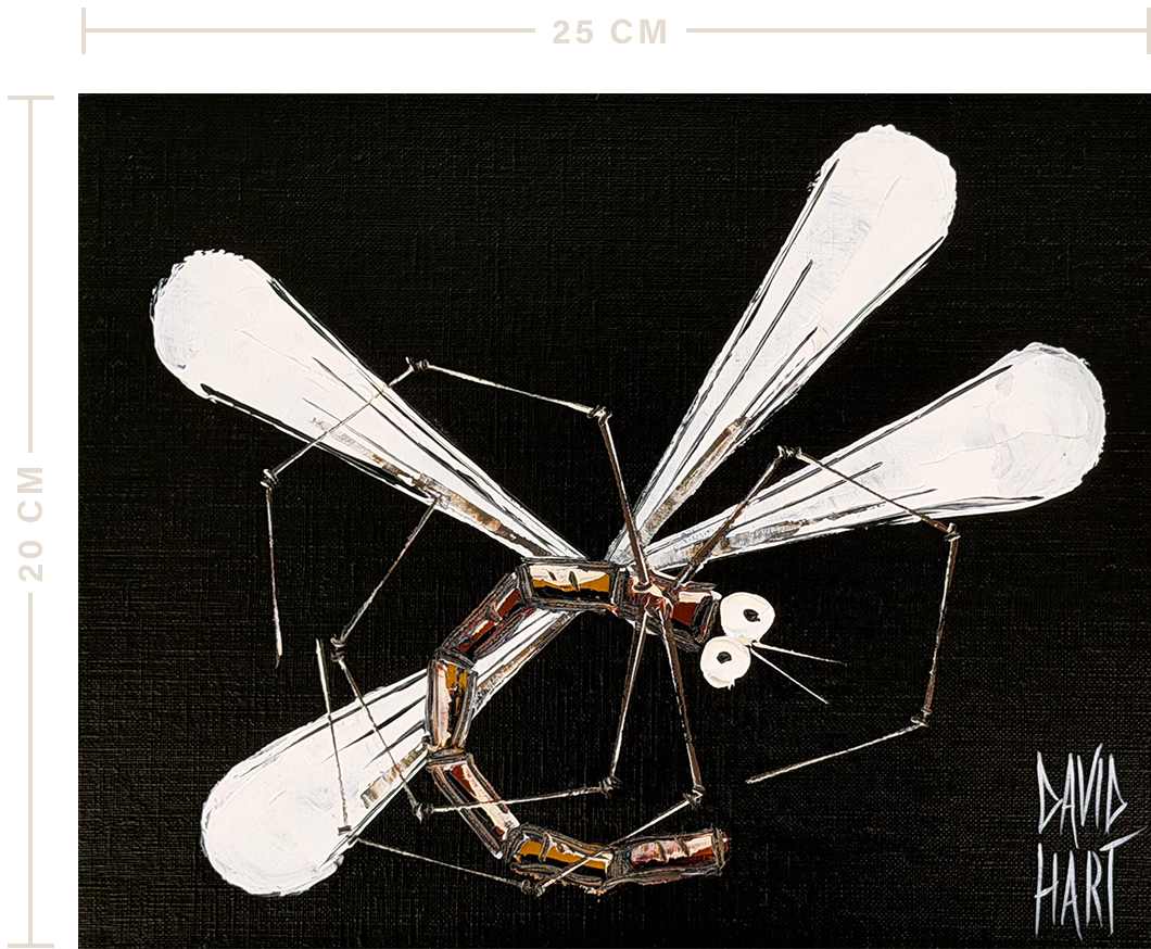 48 26 132647 Dragonfly (Black) uf m