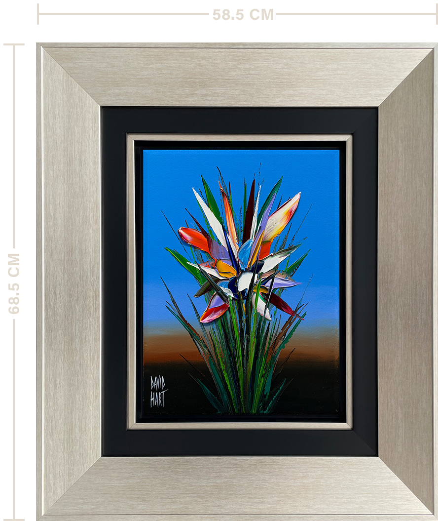64-26 – 132766 – Strelitzia (Blue)_f_m 64 26 132766 Strelitzia (Blue) f m