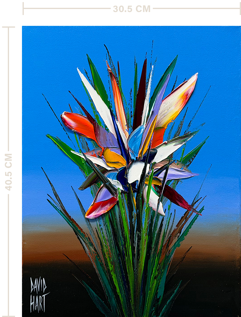 64-26 – 132766 – Strelitzia (Blue)_uf_m 64 26 132766 Strelitzia (Blue) uf m