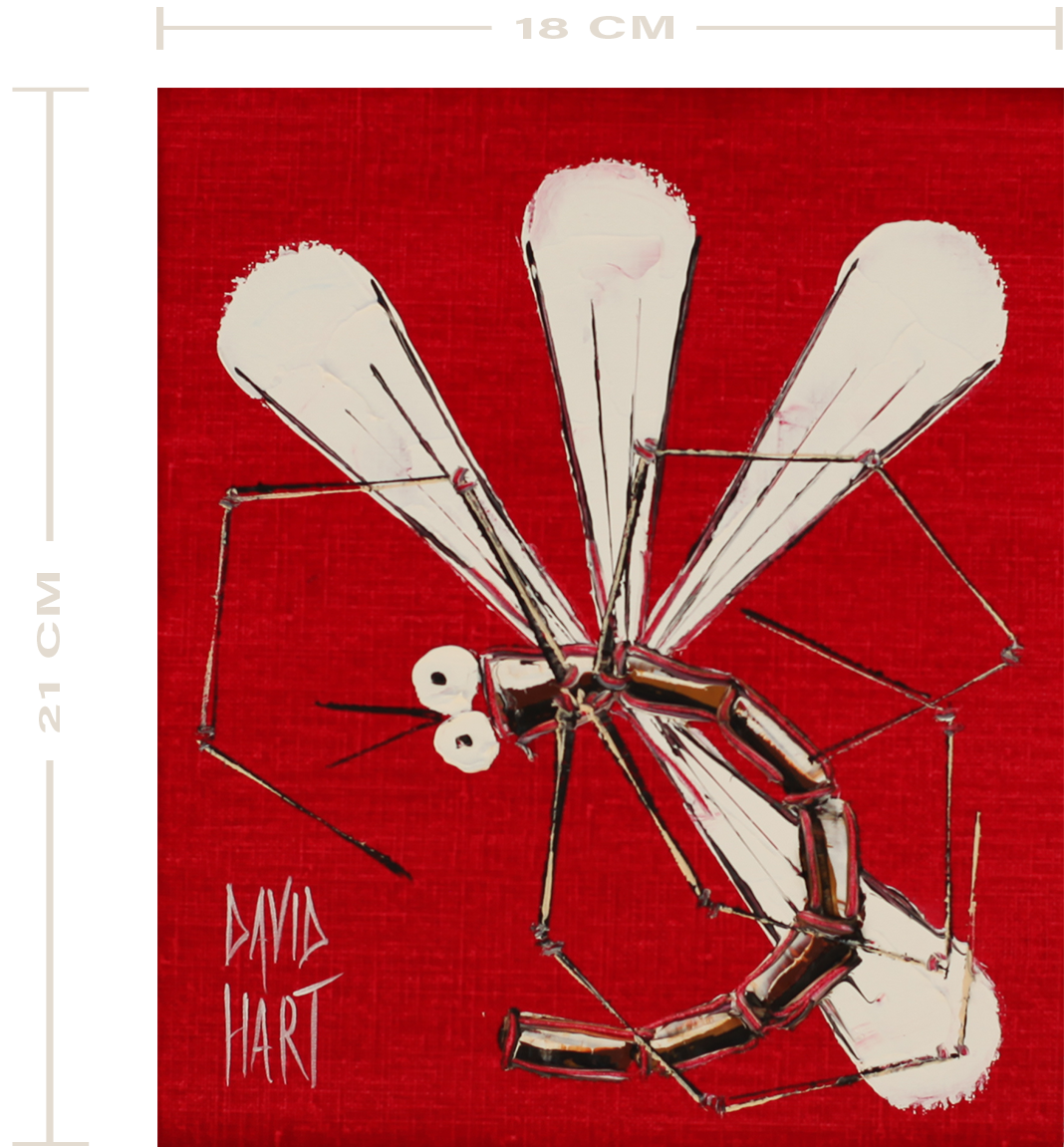 151-24 – 132113 – Dragonfly_UF_M 151 24 132113 Dragonfly UF M
