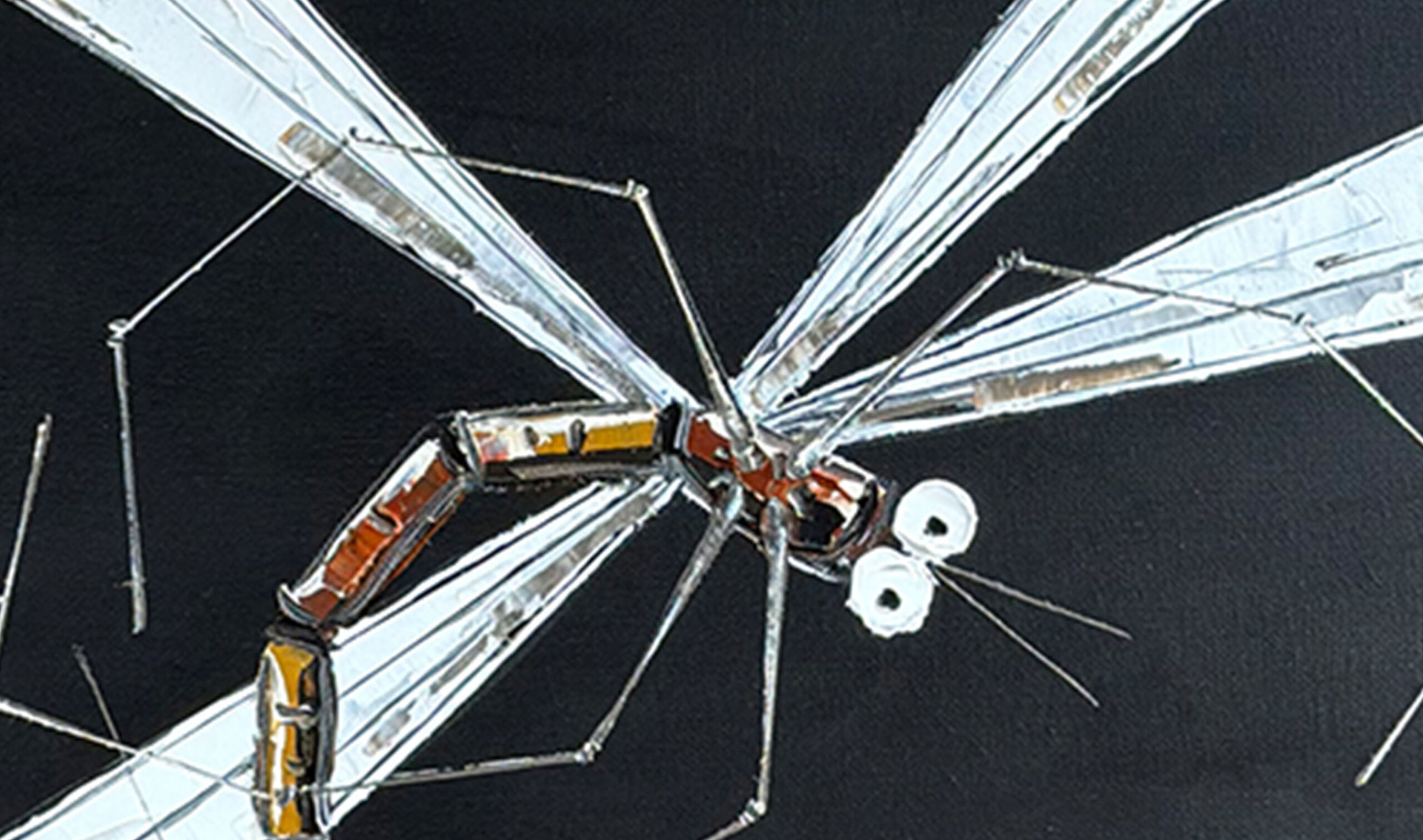 110 25 132430 Dragonfly (Black) inset