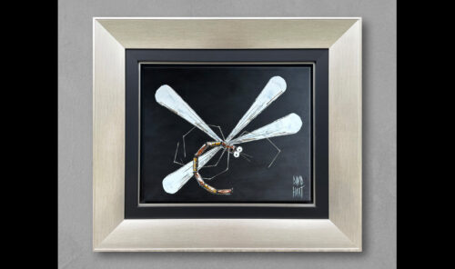 110 25 132430 Dragonfly (Black) profile wb