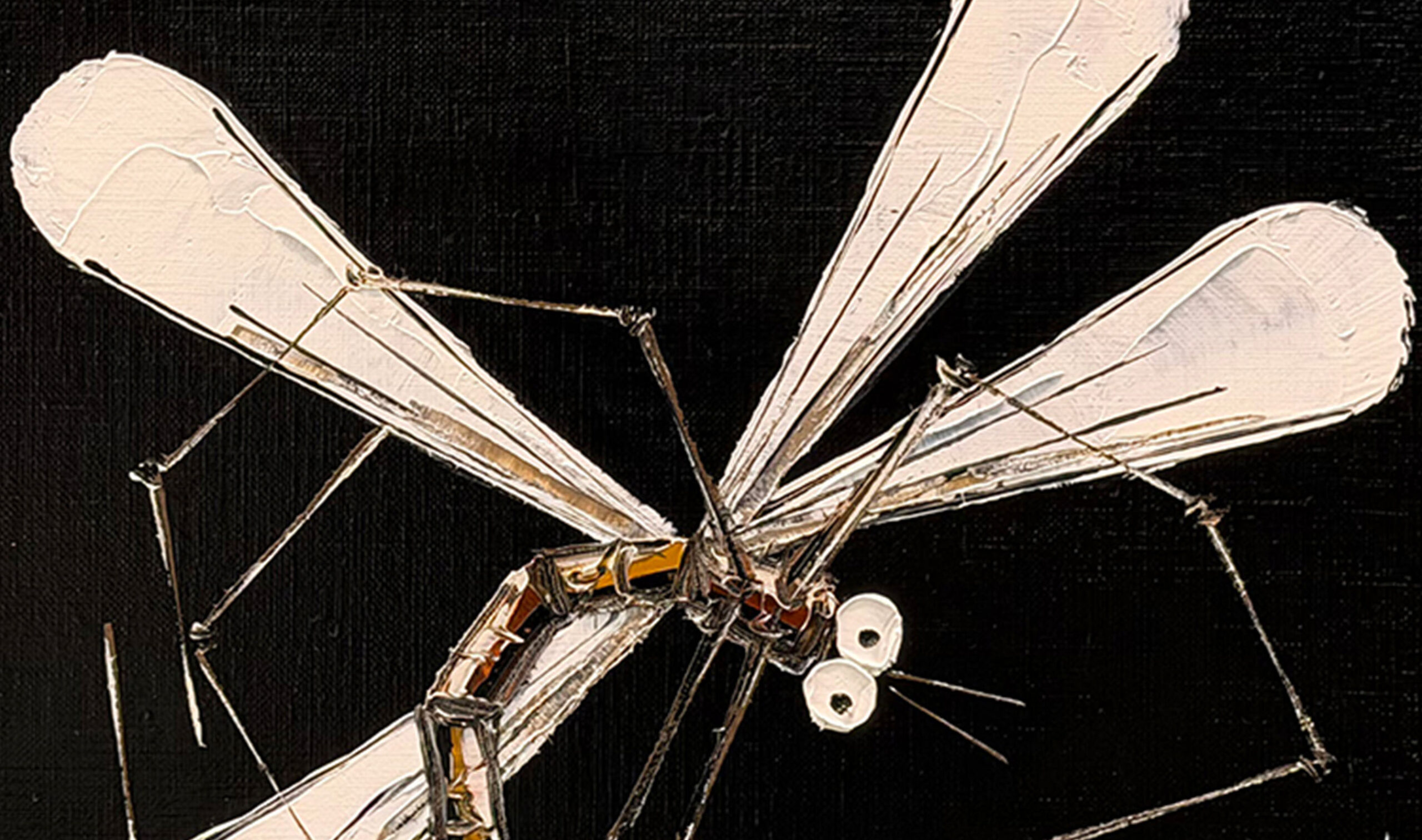 132562 17 26 Dragonfly (Black) with 1oz 2026 Dragonfly Minted Coin inset