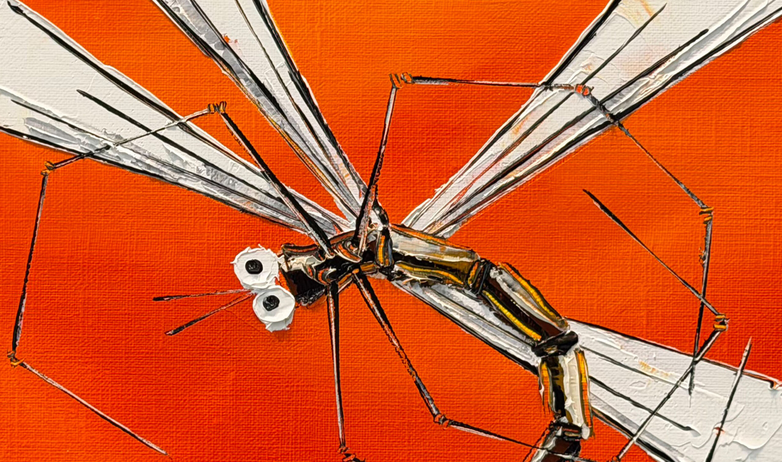 132584 33 26 Sunset Dragonfly inset