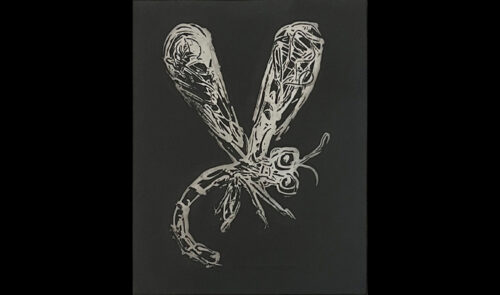 132635 Dragonfly Etching uf w