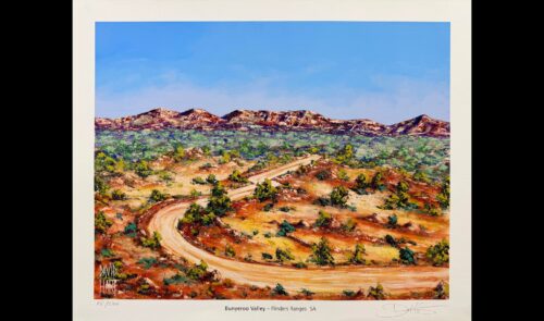 Bunyeroo Vallery Flinders Ranges f wb