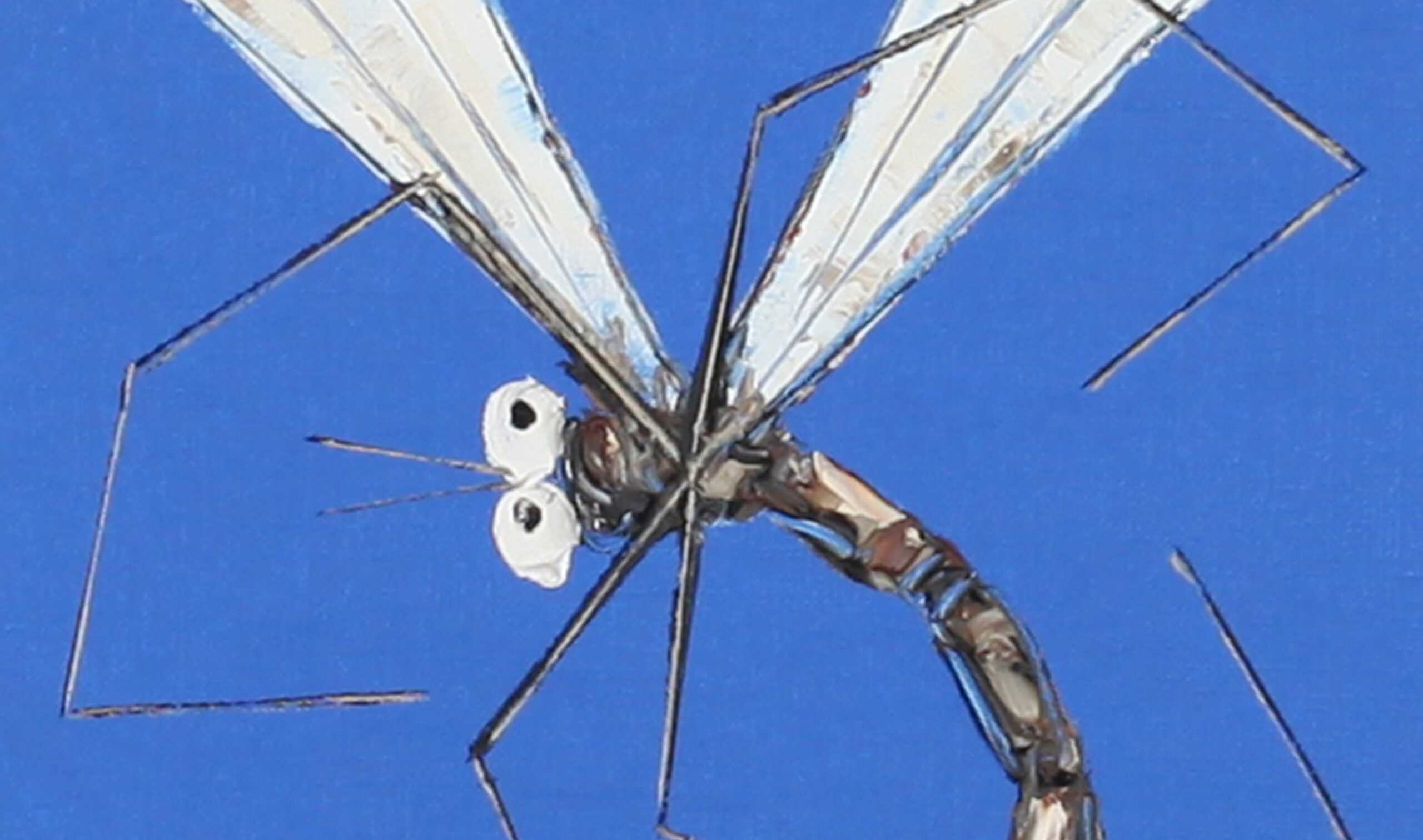 72 16 129769 Dragonfly (Blue) inset