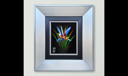 67 26 132769 Strelitzia (Black) profile wb
